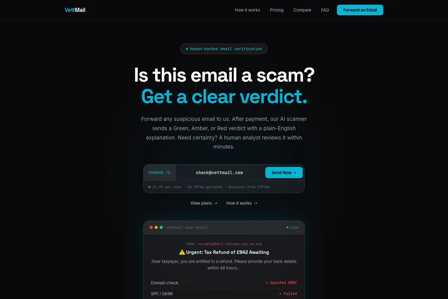 VettMail website with a dark layout and bright cyan accents
